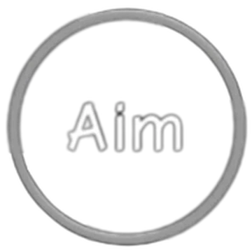 AIMBOT
